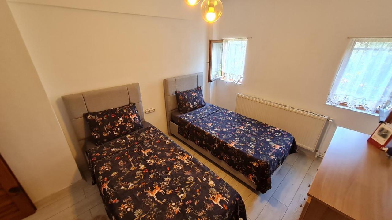 Antik House Iznik Villa Esterno foto
